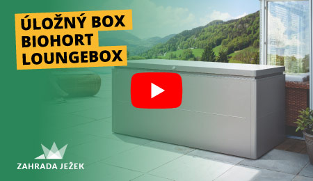 banner-video-lounge-box